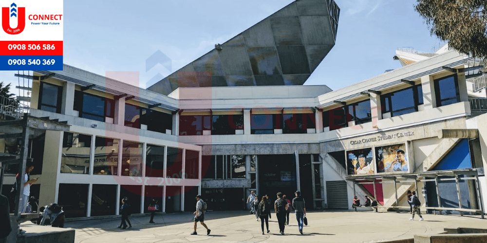 Đại học San Francisco State University, bang California – Mỹ
